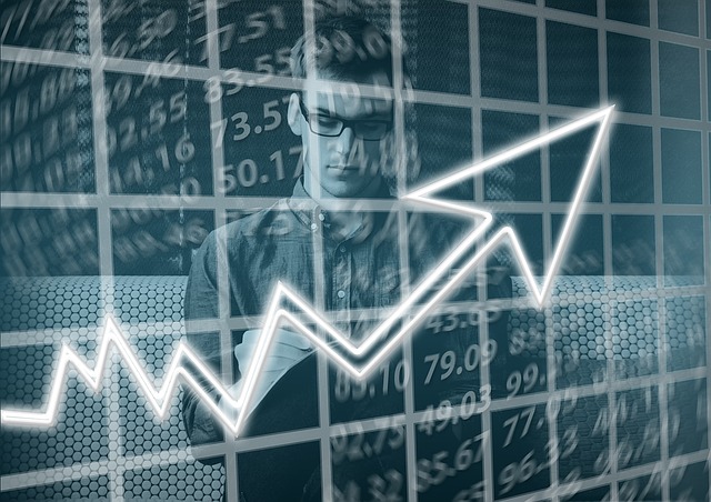 Chi decide di investire negli indici? e perche lo fa? 1 Chi decide di investire negli indici? e perche lo fa?