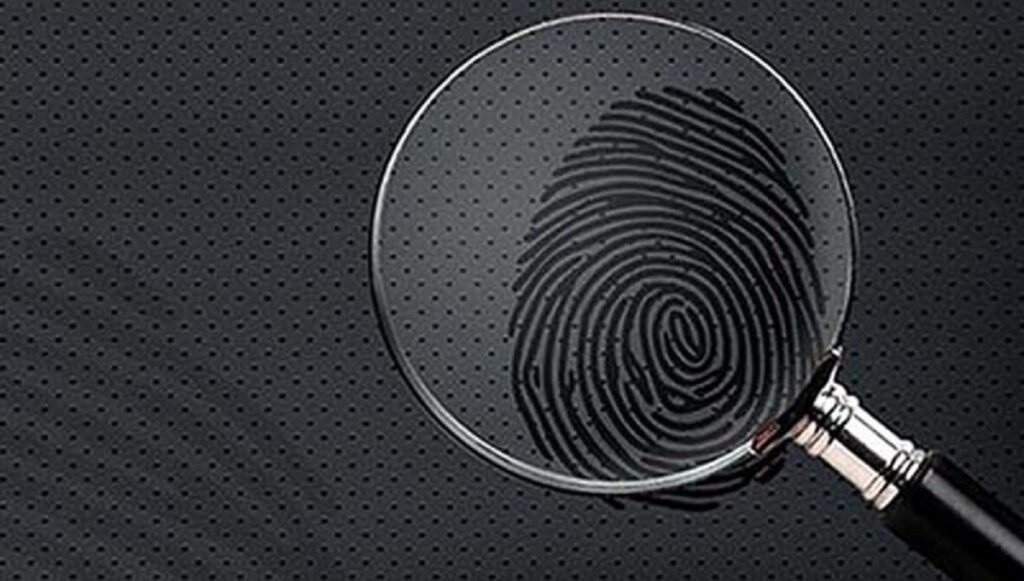 Investigatore Privato