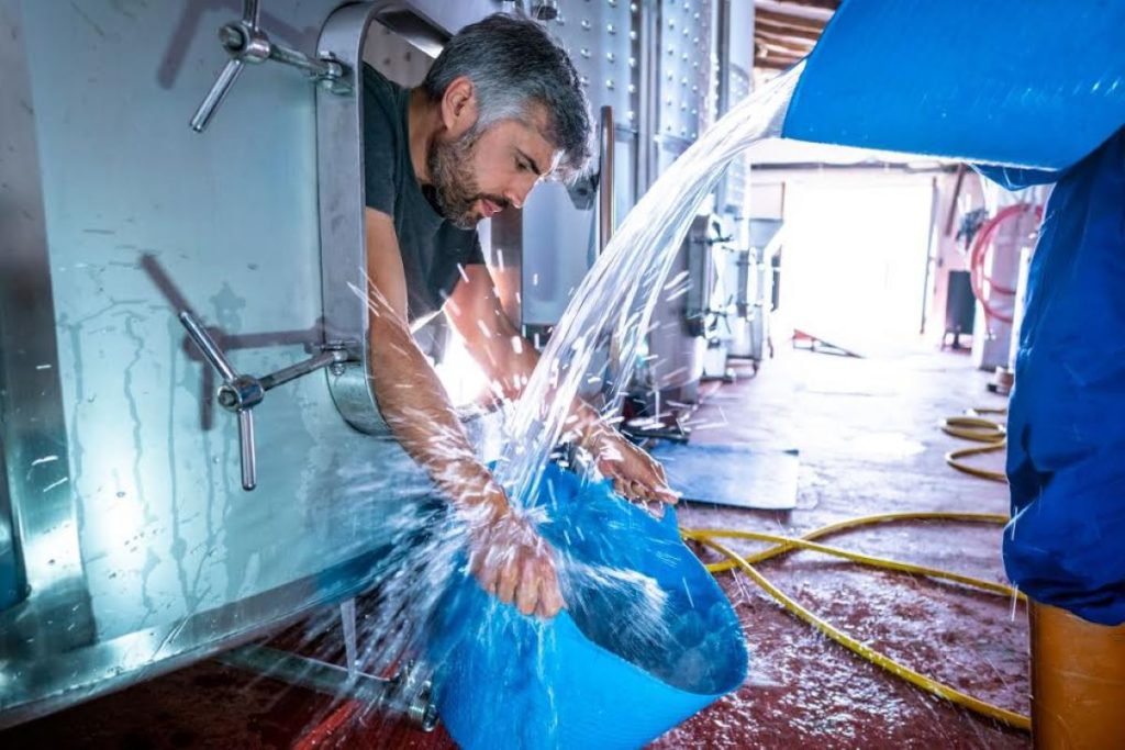 Immagine normative web